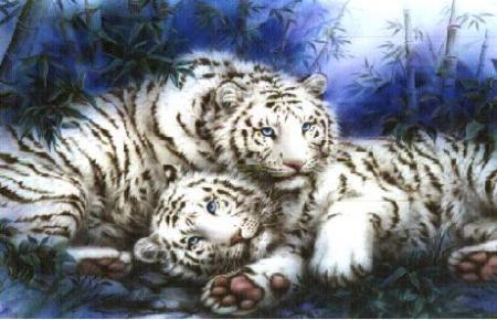 Bonjour  tout le monde